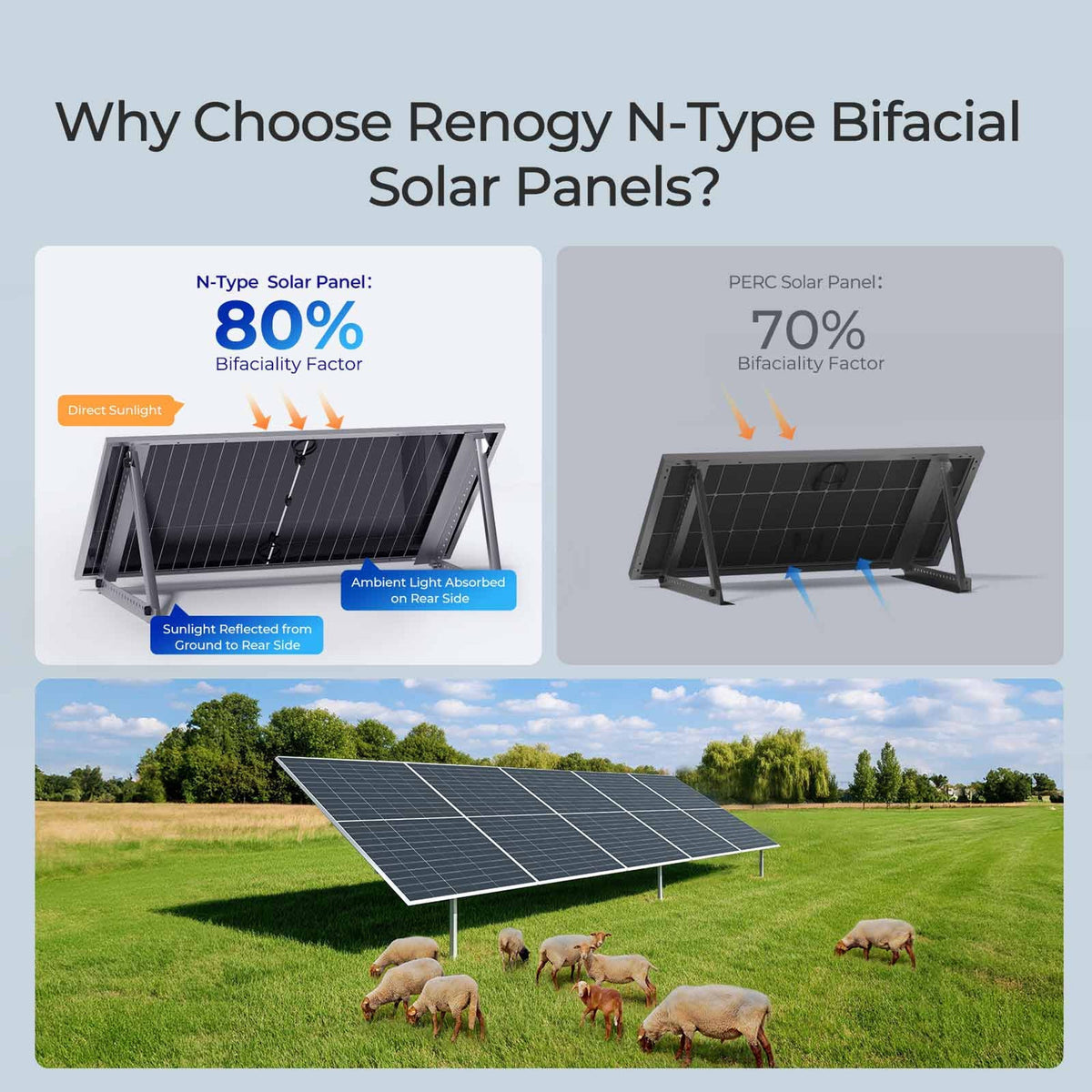 Renogy 2PCS Bifacial 590 Watt N-Type Monocrystalline Solar Panel