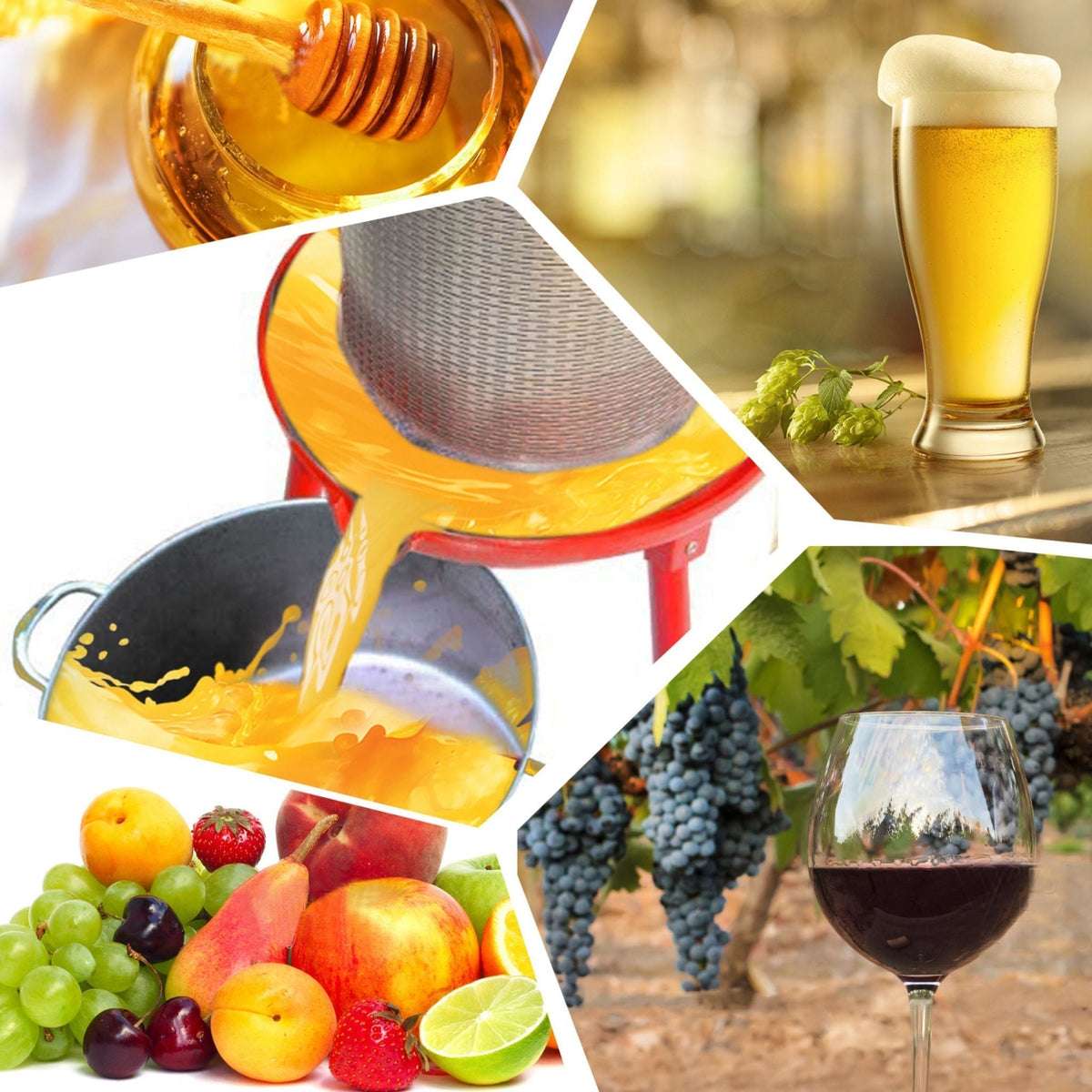 10-Gal Stainless Steel Hydraulic Fruit Wine Apple Press