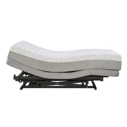 Parks Health Kalmia Perfect Height Hi-Low Adjustable Hospital Bed System