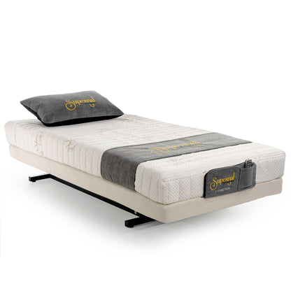 Transfer Master Supernal Hi-Low Adjustable Homecare Hospital Bed