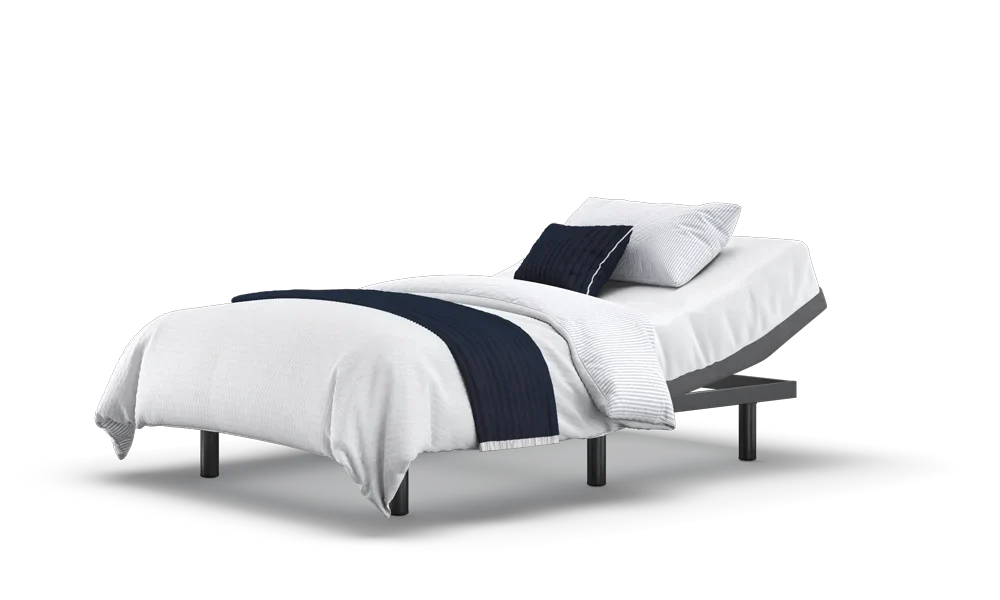 Motion Adjustable Bed Base
