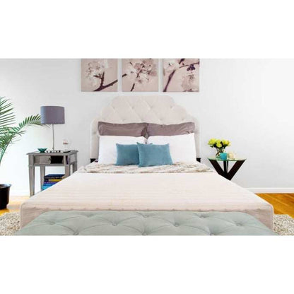 Transfer Master Supernal 5 Hi-Low Trend Adjustable Homecare Hospital Bed